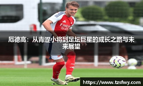 厄德高：从青涩小将到足坛巨星的成长之路与未来展望