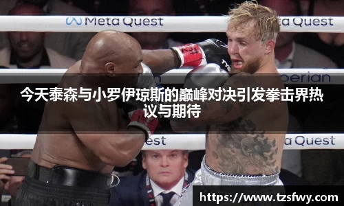 bsports官网入口