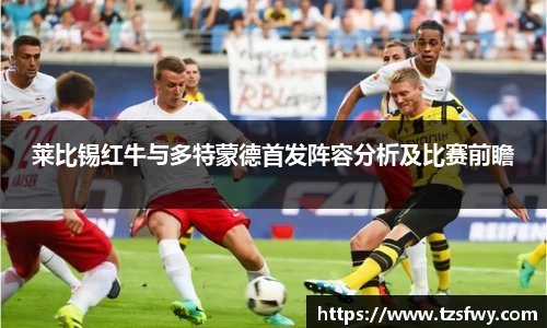 bsports官网入口