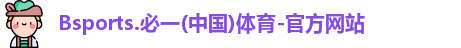 B体育官网